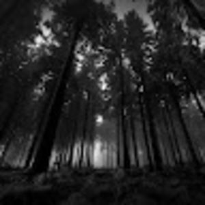 Meet your Posher, Ivan